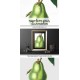 Napoleon Pear