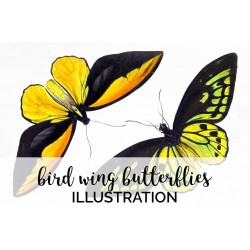 Bird Wing Butterflies