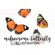 Malacosoma Butterfly