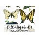 Butterfly Sheet 1