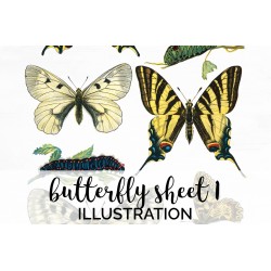 Butterfly Sheet 1