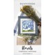 Hydrangea Hortensis