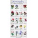 Watercolor Flowers Volume 01 (qty 20)