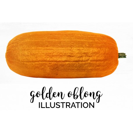 Golden Oblong