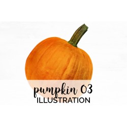 Pumpkin 03