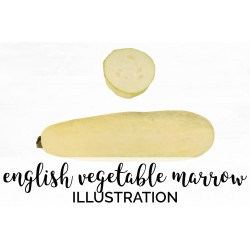 English Vegetable Marrow