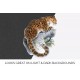 Wild Cat