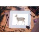 North Andean Deer