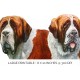 St Bernard