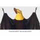 Mariana fruit bat