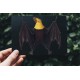 Mariana fruit bat