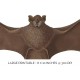 Short Eared Javelin Bat