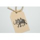 Indian Elephant