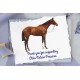 Bay Horse Spearmint