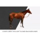 Bay Horse Spearmint