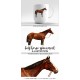 Bay Horse Spearmint