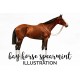 Bay Horse Spearmint