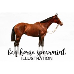 Bay Horse Spearmint