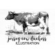 Jersey Cow Duchess