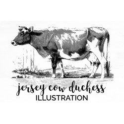 Jersey Cow Duchess