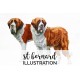 St Bernard