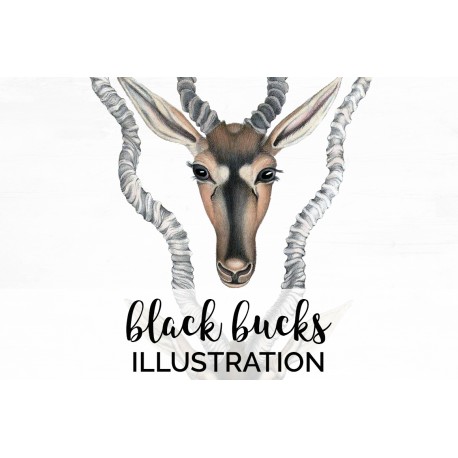 Black Bucks