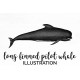 Long finned Pilot Whale