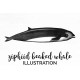 Ziphiid Beaked Whale