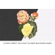 New Tuberous Begonias with Double Flowers