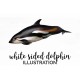 White sided Dolphin