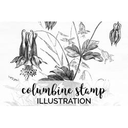Columbine Stamp