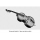 Double Bass Violin