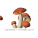 Bitty Mushrooms 01