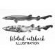 Filetail catshark