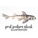 Port jackson Shark