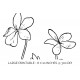 bird foot violet