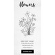 bird foot violet