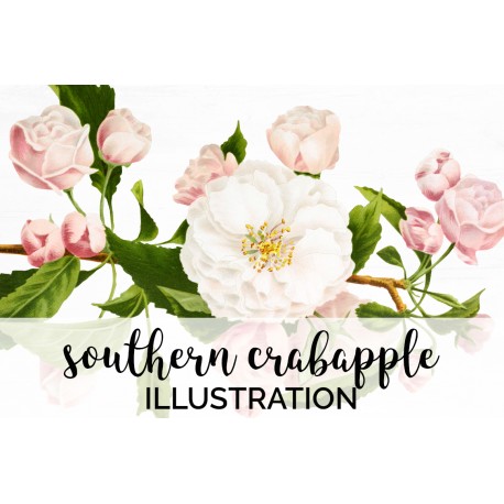 Southern Crabapple