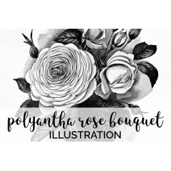 Polyantha Rose Bouquet