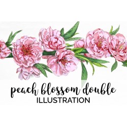 Peach Blossom Double Flowers