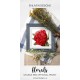 Double Red Officinal Peony