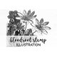 Bloodroot Stamp