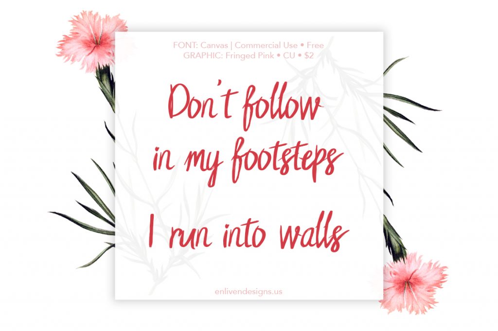 Quote: Don't Follow in my footsteps. I run into walls.