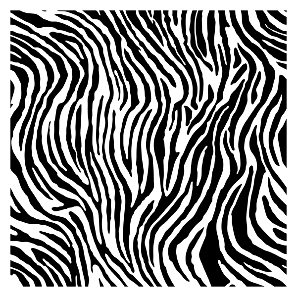 Black And White Zebra Print Free Download Enliven Designs