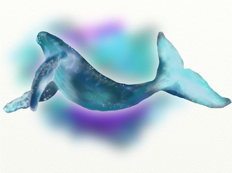 blue whale