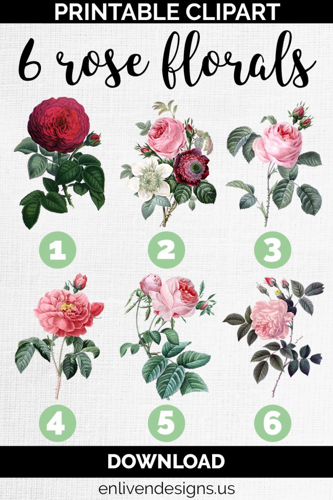 Printable Clpart
6 Rose Florals
1. Hybrid Remontant Rose (red rose)
2. Flower Bouquet Redoute (pink rose)
3. Pink Cabbage Rose (pink rose)
4. Rose of Orleans (pink rose)
5. Hundred Leaf Rose (pink rose)
6. Pink Cyme Rose (pink rose)
Download
enlivendedsigns.us